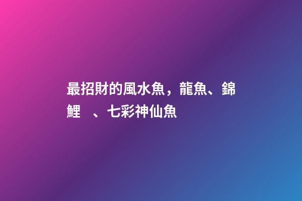 最招財的風水魚，龍魚、錦鯉、七彩神仙魚